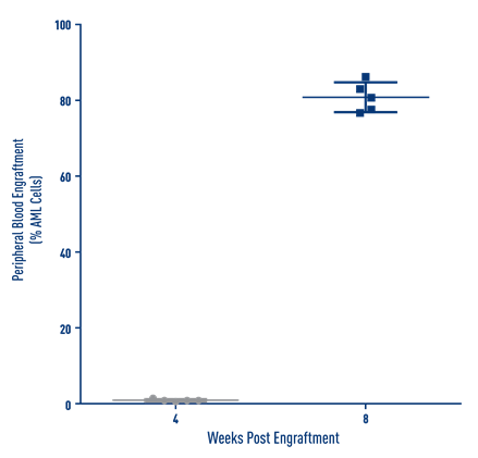 AML Studies