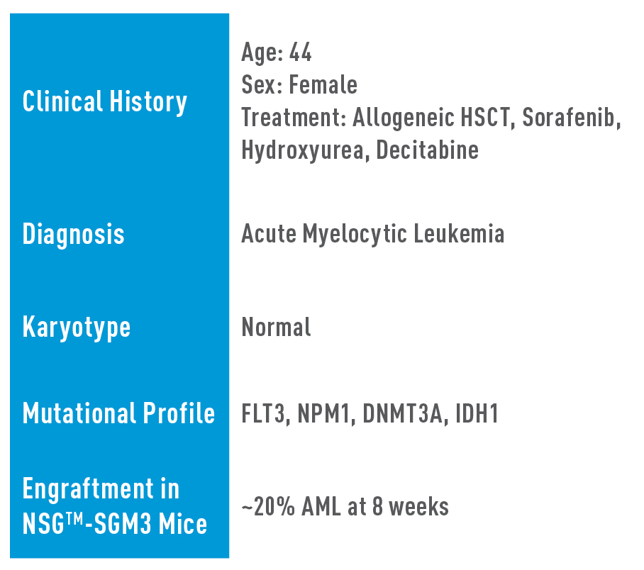 aml-studies