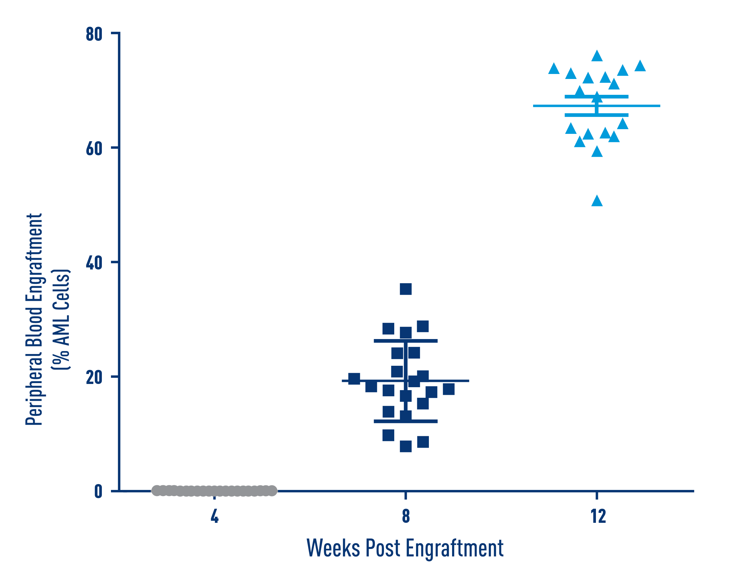 aml studies