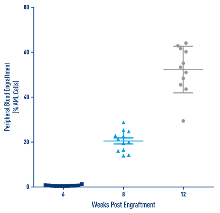 AML Studies