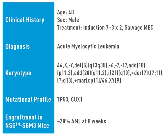 aml studies