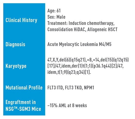 AML Studies