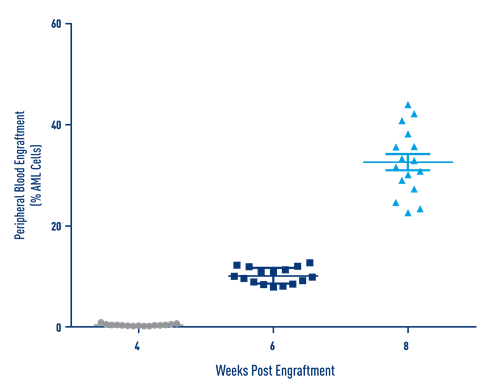 AML Studies