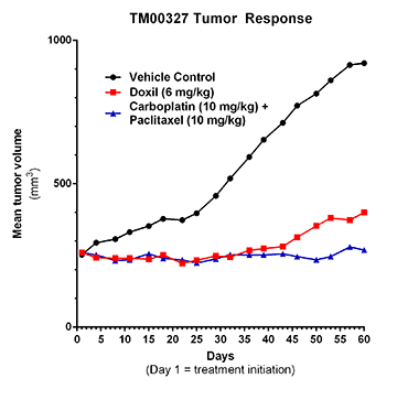 TM00327 Tumor Response
